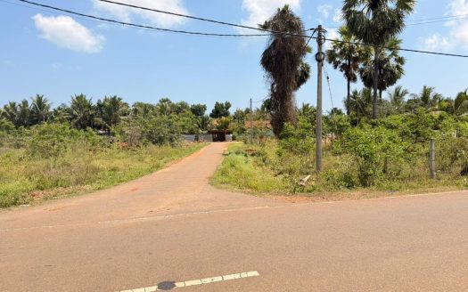 Exclusive Land Opportunity in Thellipalai
