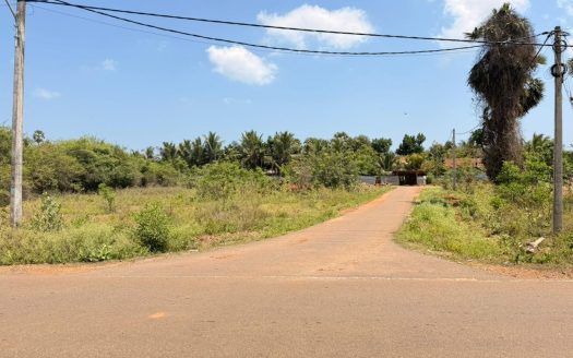 Exclusive Land Opportunity in Thellipalai