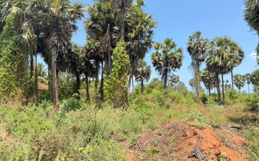 Exclusive Land Opportunity in Thellipalai