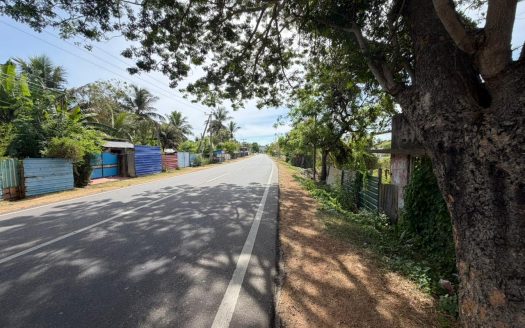 A rare opportunity to build your future in Ariyalai!