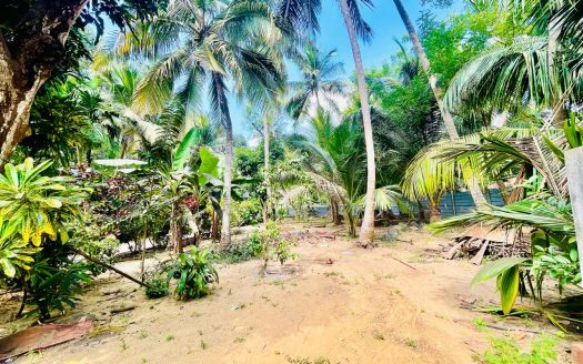 HOUSE FOR SALE IN ANAIKKOTTAI