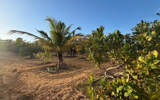LAND FOR SALE IN PALAI