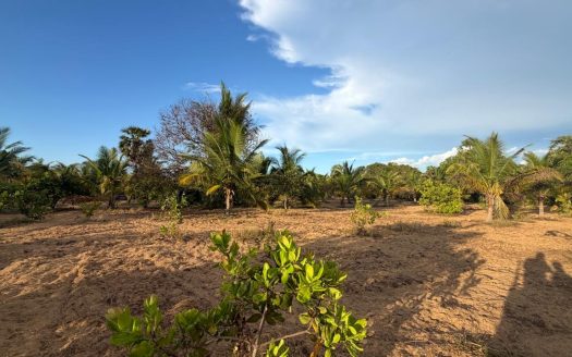 LAND FOR SALE IN PALAI