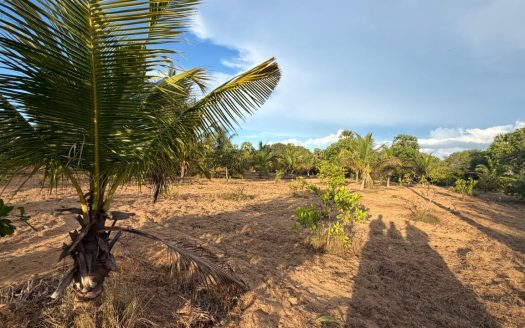 LAND FOR SALE IN PALAI