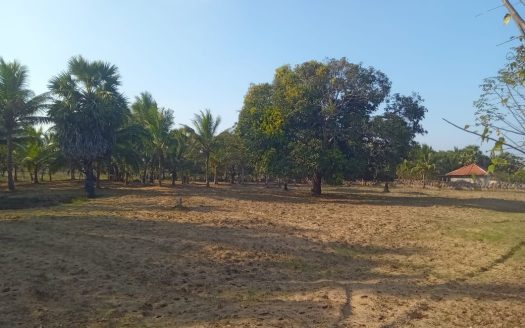 Land for sale kilalai