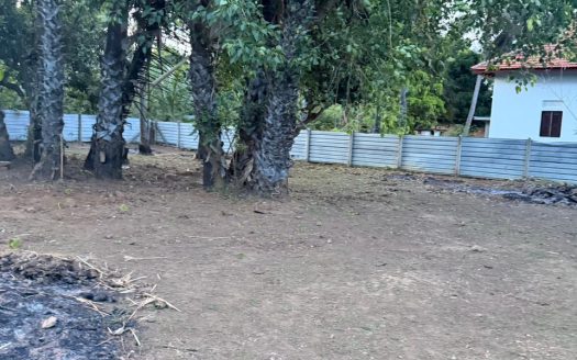 Land for Sale in Uduvil