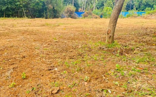 Land for sale in sudhumalai road in manipay