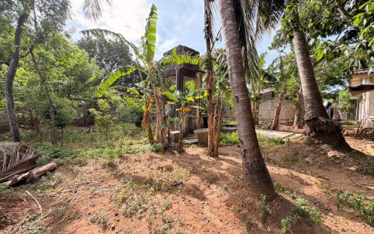 Land with house for sale