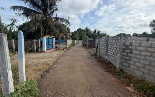Land for sale in Thellipplai