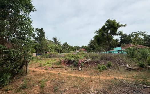 Road side land for sale in thellippalai