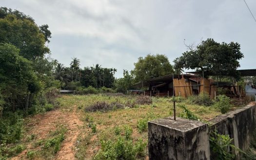 Road side land for sale in thellippalai