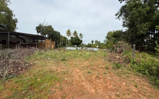 Road side land for sale in thellippalai