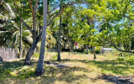 Land for sale in Trincomalee