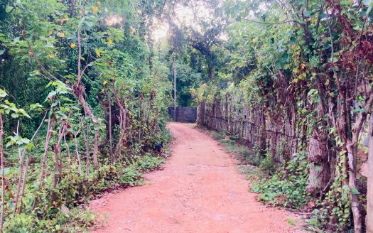 Land for sale in Ilavaalai