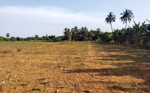 Land for sale in Ilavaalai