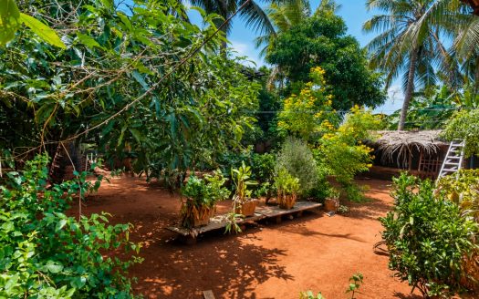 House with land for sale in kondavil
