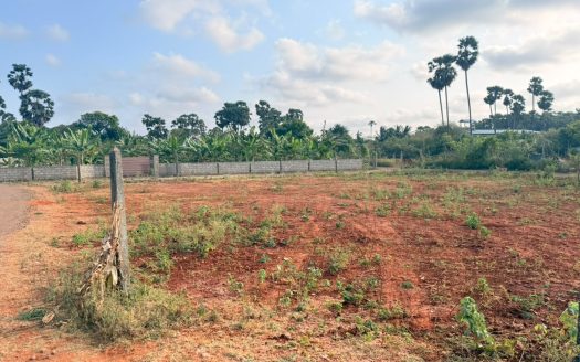 Land for sale in Punnalaikkattuvan