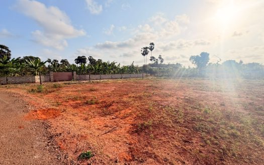 Land for sale in Punnalaikkattuvan