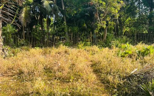 Land for sale in Puttur