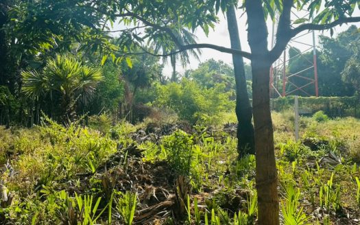 Land for sale in Puttur