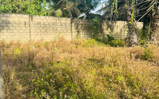 Land for sale in Puttur