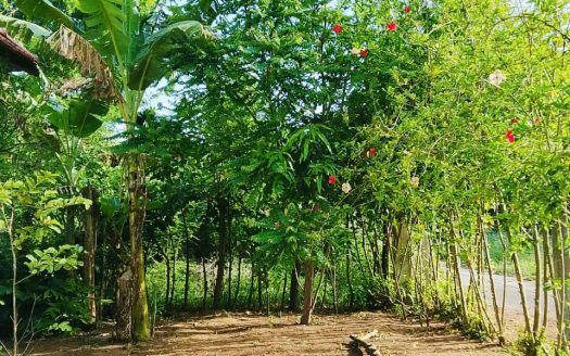 House for sale in Mayiliddy