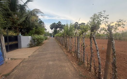LAND FOR SALE IN KOPAY