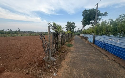 LAND FOR SALE IN KOPAY