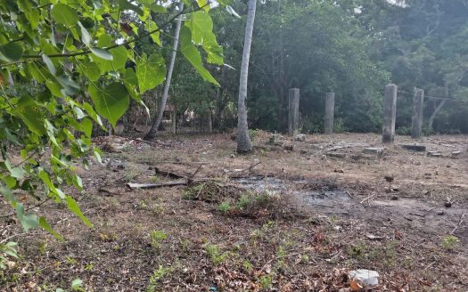 Old House with Land for Sale in Kopay