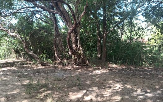 Old House with Land for Sale in Kopay