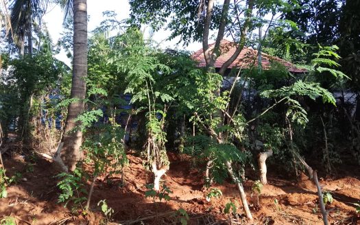 Land for Sale in Tellippalai