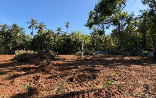 Land For sale in Pandatharippu