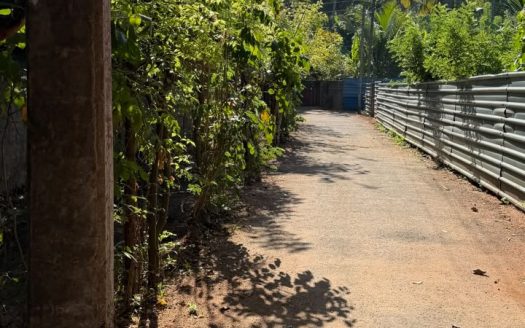 Land For sale in Pandatharippu
