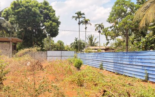 Land for sale in chunnakam