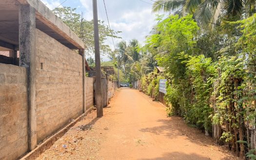 Land for sale in chunnakam